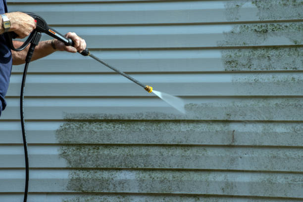 Best Patio and Deck Pressure Washing  in Reedley, CA